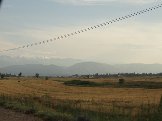 Плодородные земли южного Казахстана