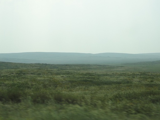 Казахский мелкосопочник